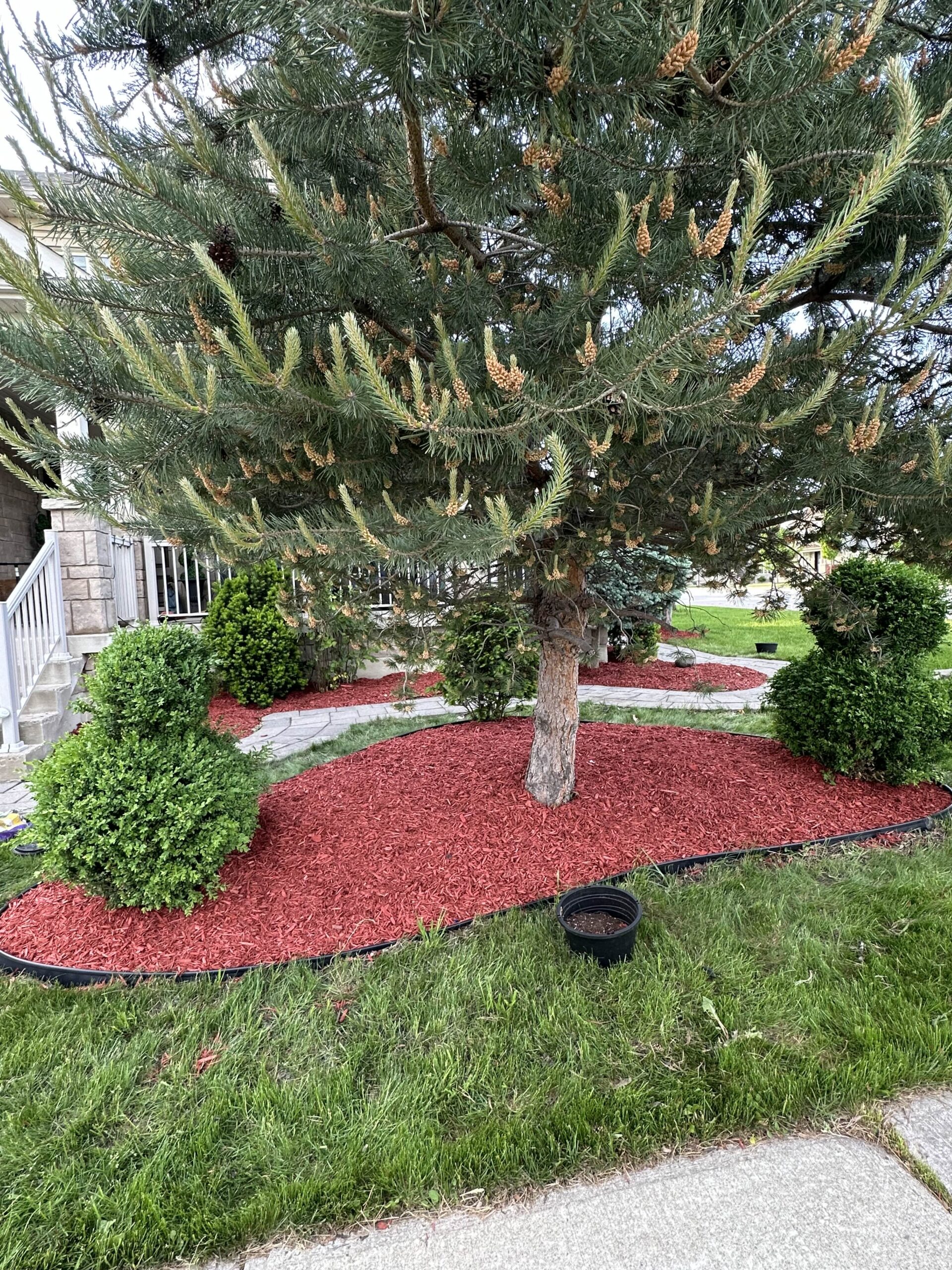 Residential grading and drainage project