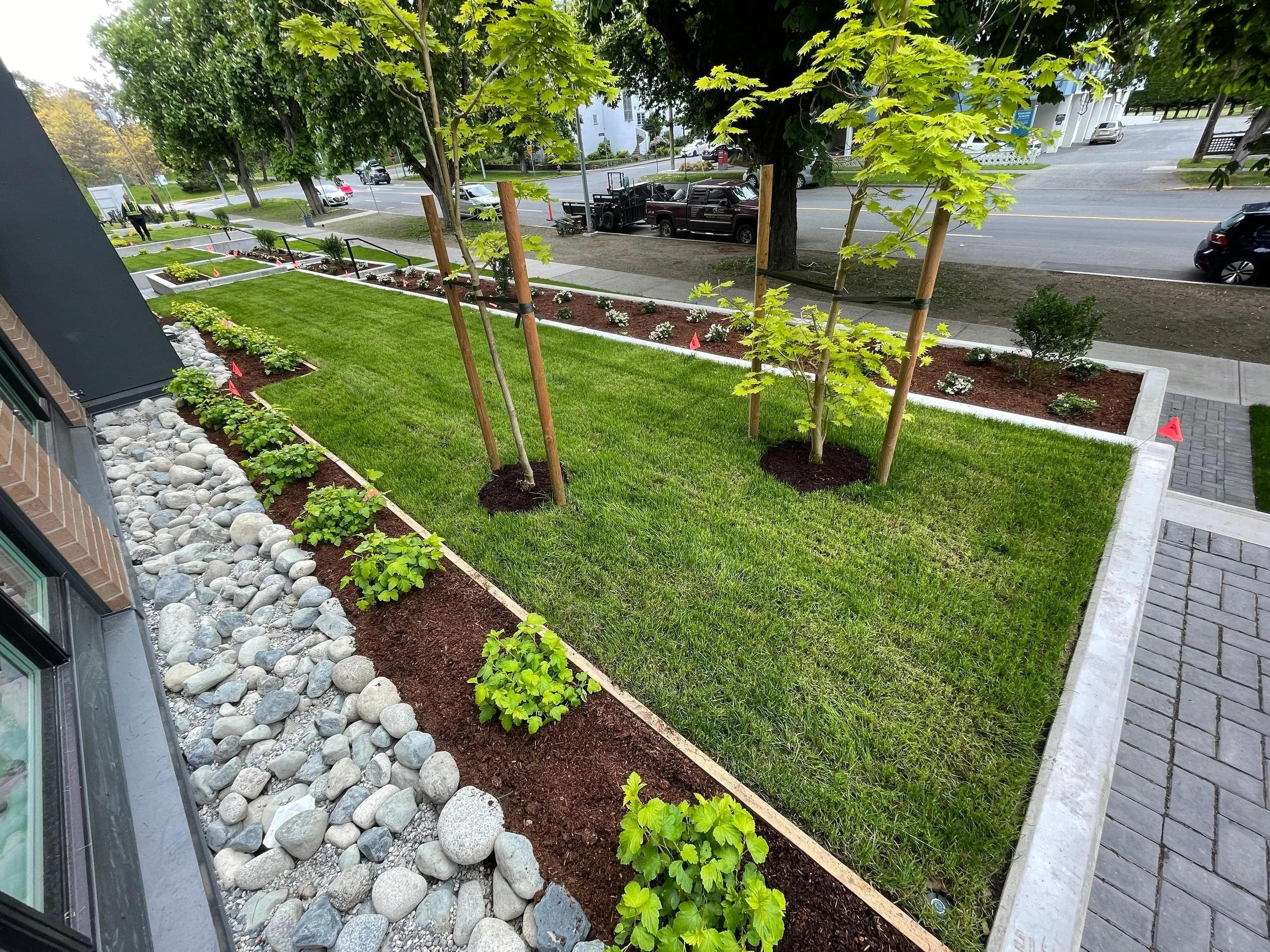 Complete residential landscape transformation
